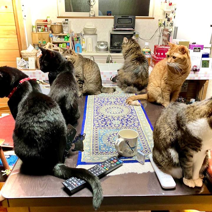 C9d88a6a 3764 4c5f a95c 302cf5b4c402 1673010167988