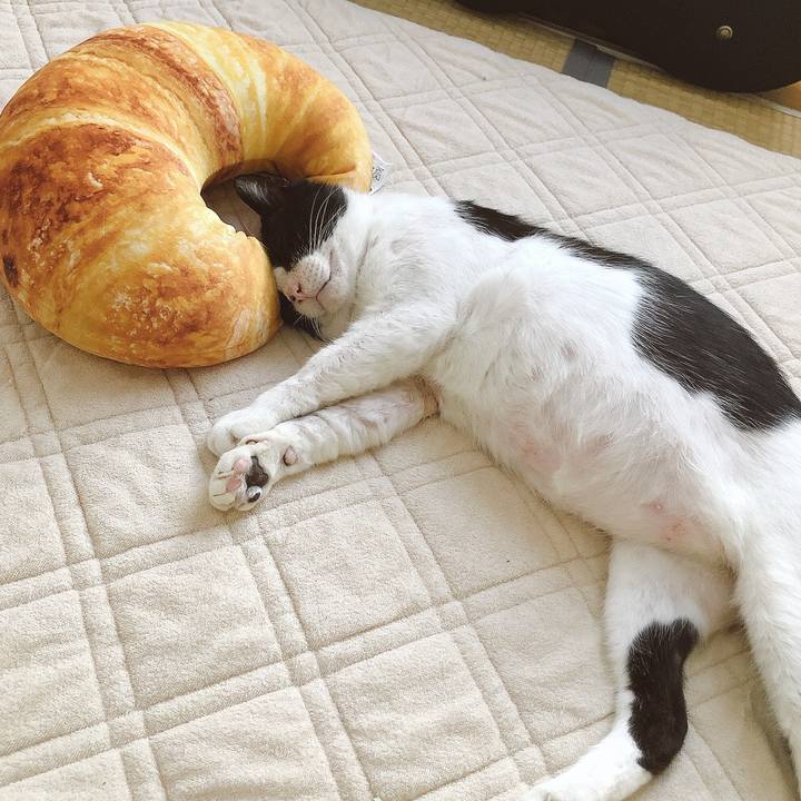 C9d8b57b d738 499b b87f 33618d29bb1b 1627345758502