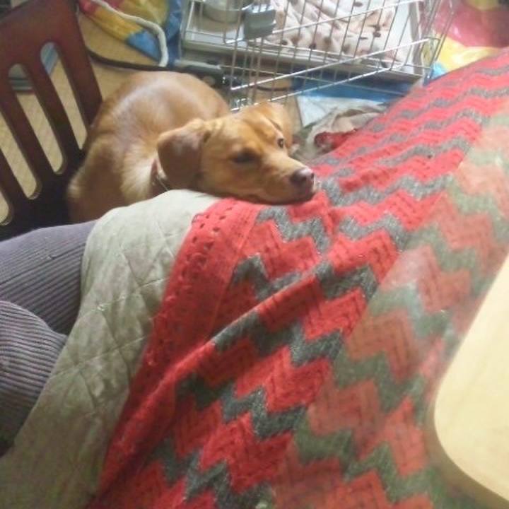 C9d8c6c9 4524 41a7 b558 c16a4709ad56 1525039201605