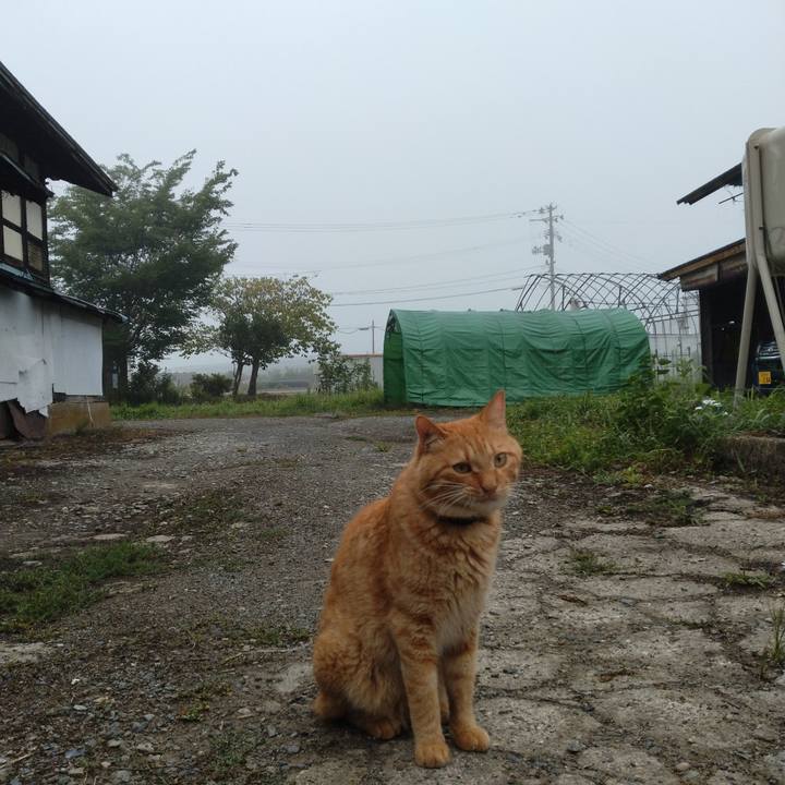 C9d90b75 c625 41ff 832e d0d2645d8dde 1692312820767