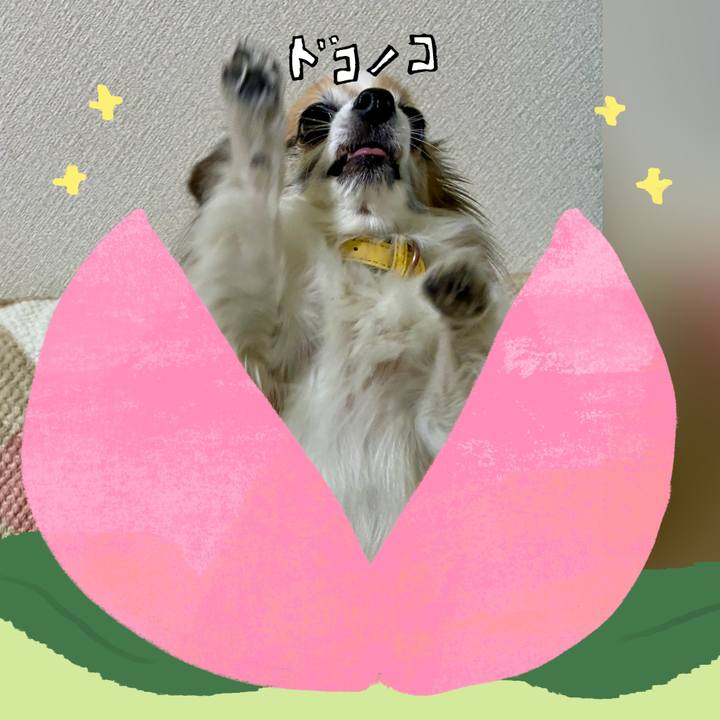 C9d91eca f69f 44c6 b62d 8793e8850f22 1772304383368