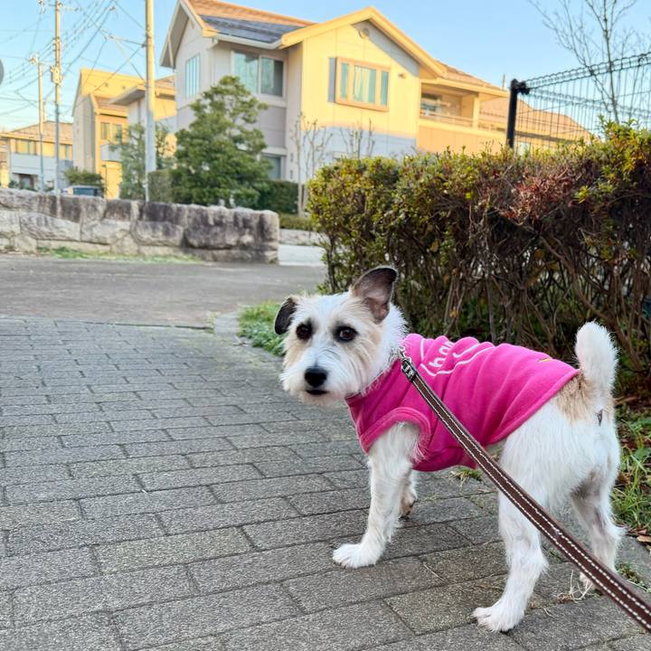 C9d92f03 7d39 4744 83b3 e1fe6a16ab0d 1765103158342