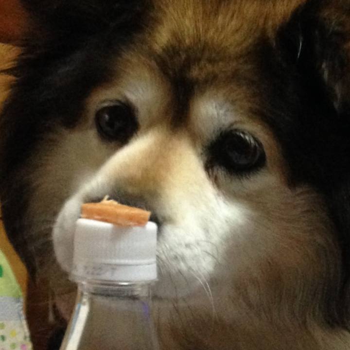 C9d9308a 5cdf 476f 8cb4 f2b4bfe63917 1614056139886