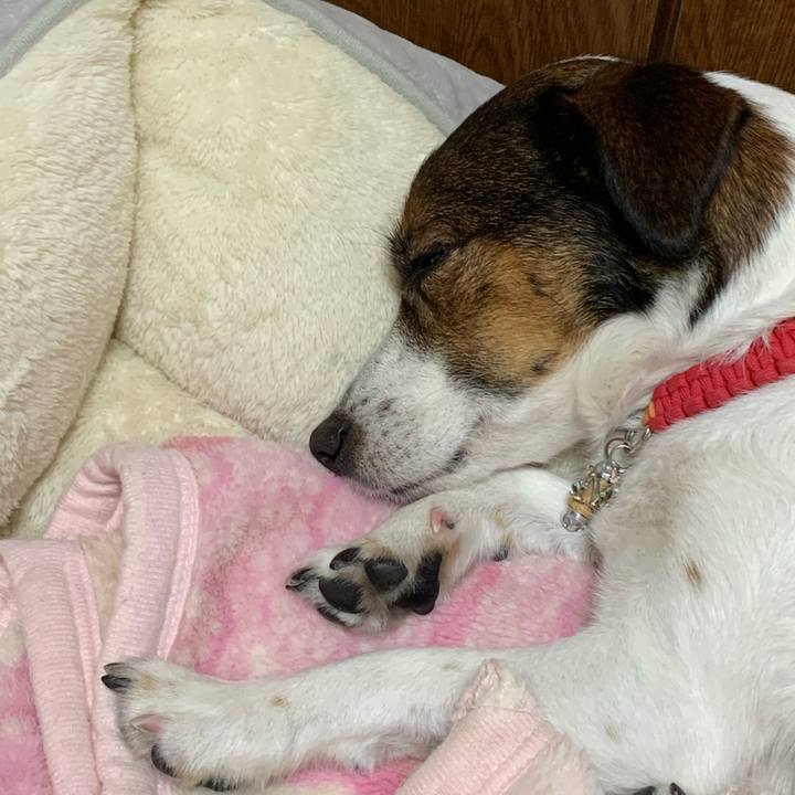 C9d93266 731c 4782 8cc9 a298011e8f2b 1612086268752