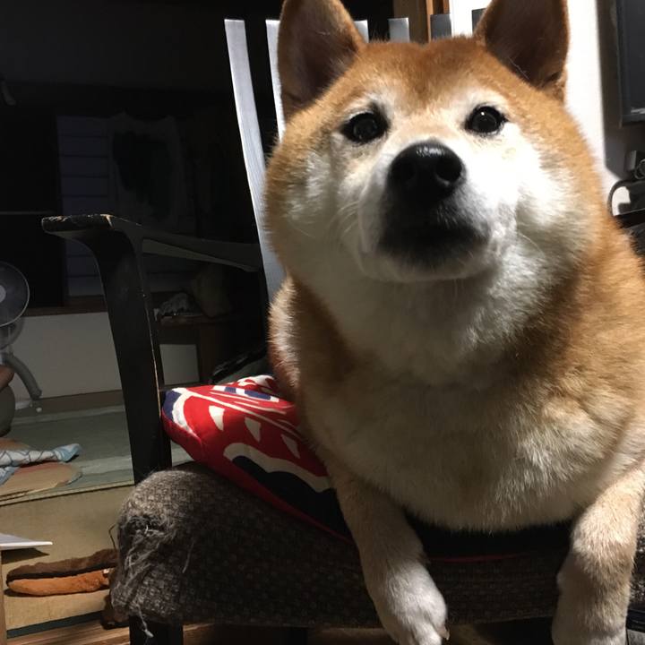 C9d9391d 7e6e 4f02 9c4d 7d0b68995f2c 1630639796688