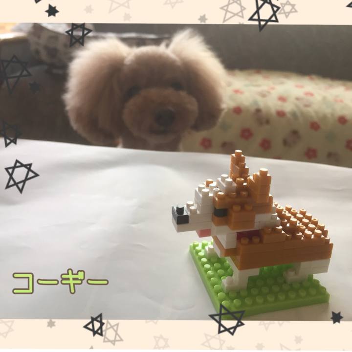 C9d97fdb 9fb4 402f 8e99 5832b71be99c 1538110096993