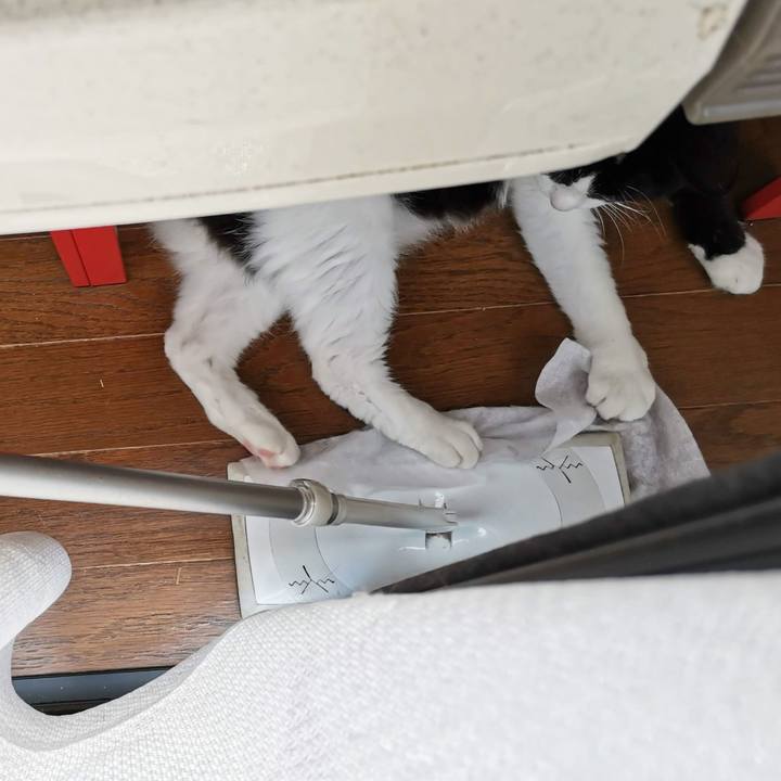 C9da1bef d0b1 4da2 99bd b749e1bd3601 1690343534369