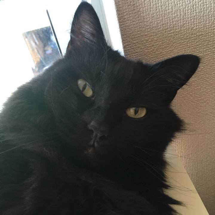 C9da4b2d 2deb 4dec 8276 3d78395dd749 1530342032801