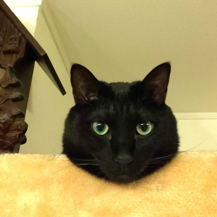 C9da571b 0e8d 4173 9094 f2576d885cc7 1680018115666