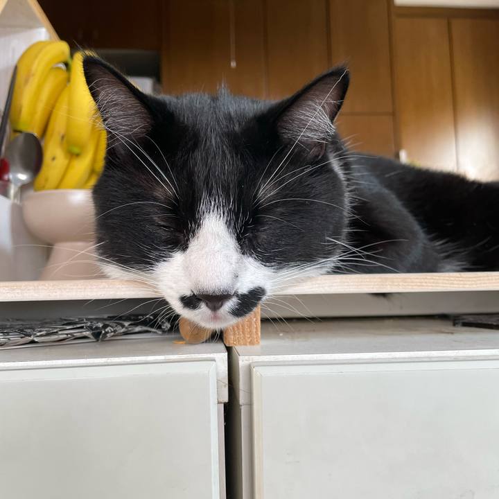 C9da833d efe1 45ed b659 a3ca989791e1 1658616356063