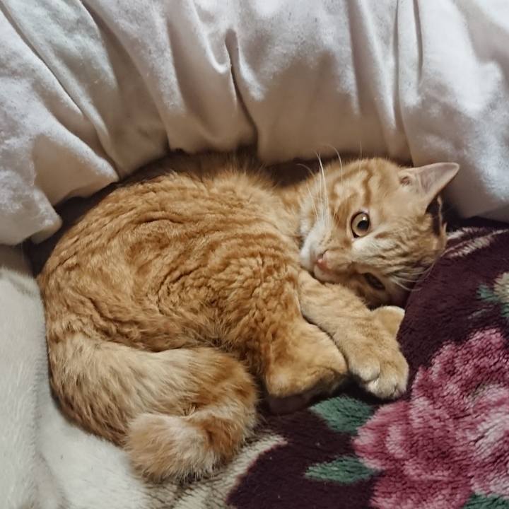 C9da8814 cd58 4de4 a2db 8f9f57abb859 1645360035251