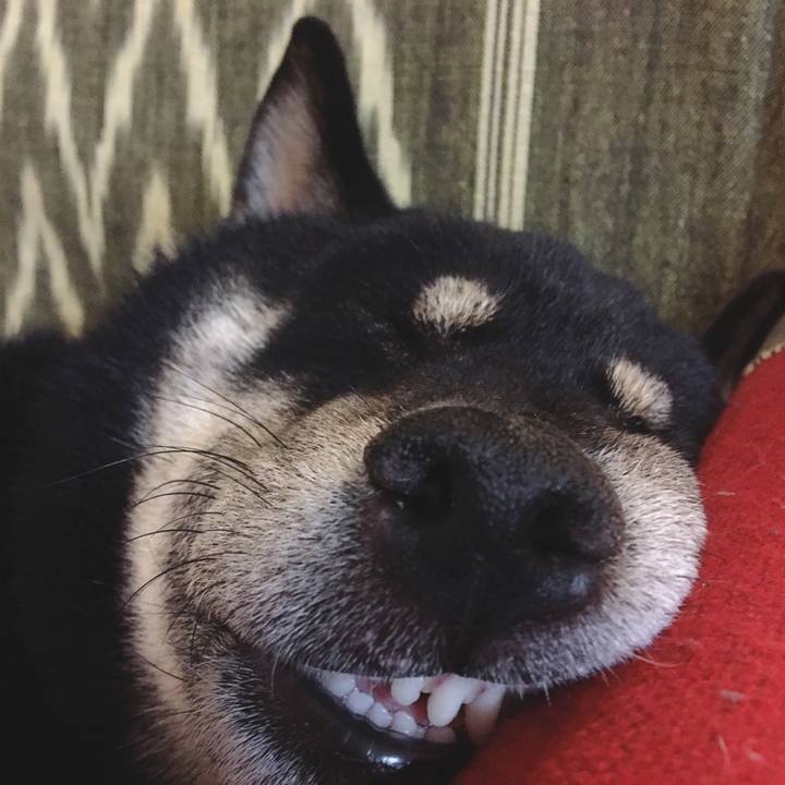 C9da8e8e 61ac 45a1 b303 26672c59cc0c 1546613289951