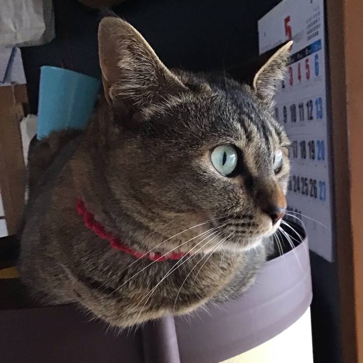 C9daba6a 5366 4415 9f7b 57e14f38fdf8 1685357723847