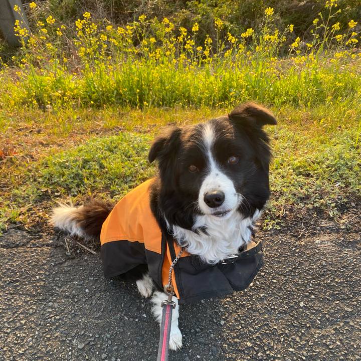 C9db0ad0 8e4b 4fbd a724 8be5f5355695 1613776494213