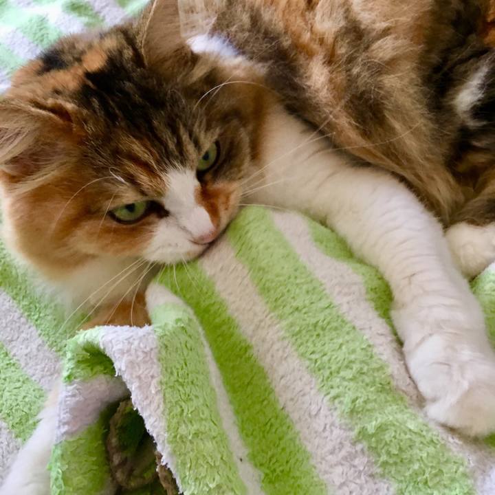 C9db0df2 87e6 4b57 9d81 16318a98044c 1565839700603