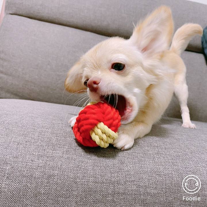 C9db326a b1eb 48a8 8313 5eec5beb41dd 1602148460695