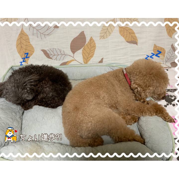 C9db34cc c321 4a1b be83 24e1196c9784 1566565453765