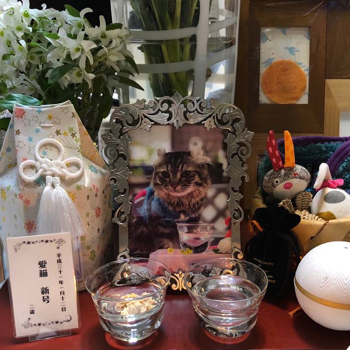 C9db388d 6fcf 4493 acd4 70a33ebed21e 1547820357991