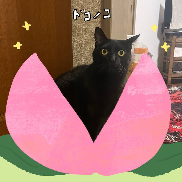 C9db53f9 9621 4e45 a919 1e5e85777fe3 1772000375241