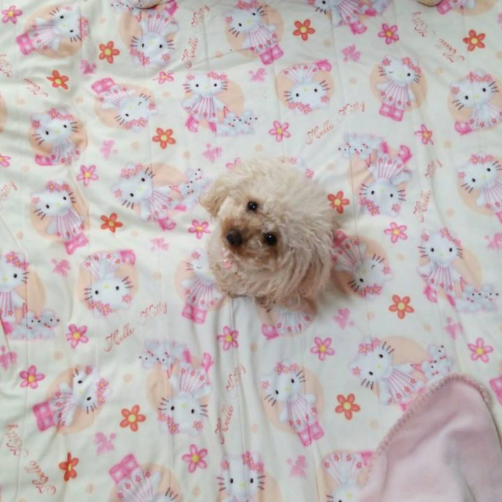 C9dba450 8acd 42f7 9a58 8274f5e8c0a9 1514464973390