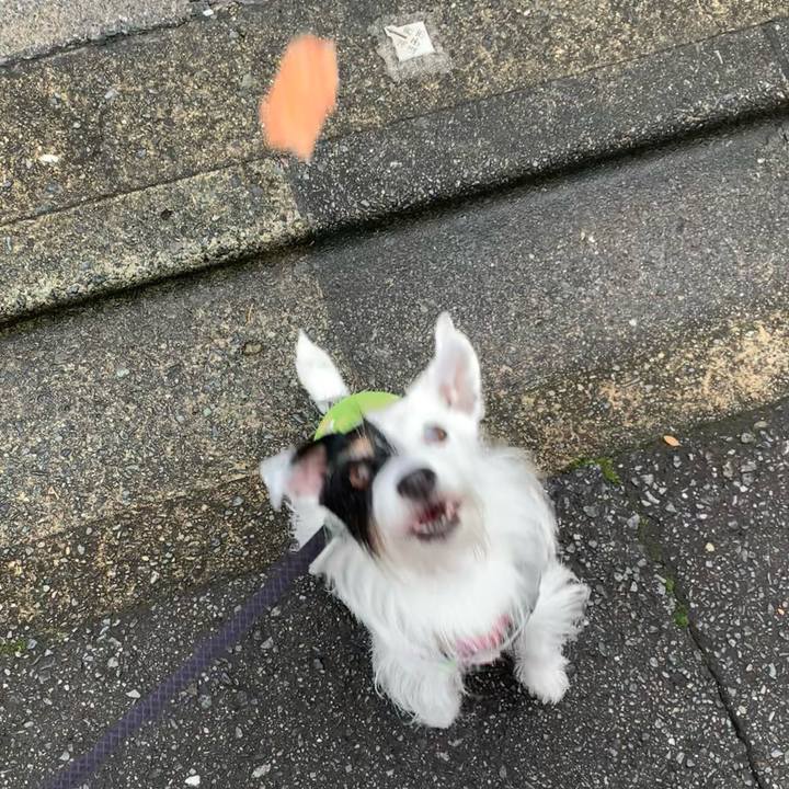 C9dba833 7e7c 44c7 872a 68f94f5aaffe 1696375714166