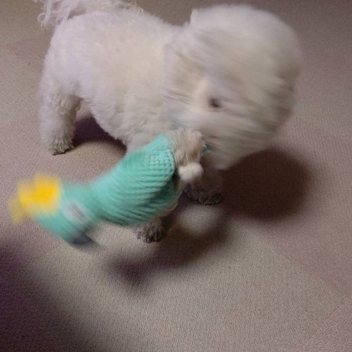 C9dbf04b a981 4cdd a605 a4aef9d6f24b 1619006290817