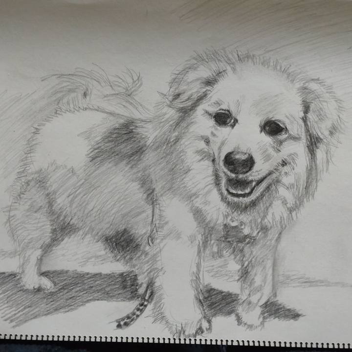 C9dc04d0 8030 49bb 8686 1c4811e935a4 1645449506269