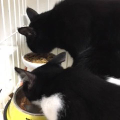 C9dc1610 864e 41b8 aacd aee88ac24226 1537584589135