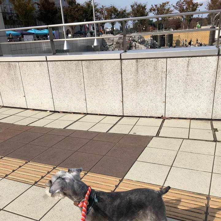 C9dc2cc5 bbf8 48ac 93bd 69f8f4081909 1542509558322