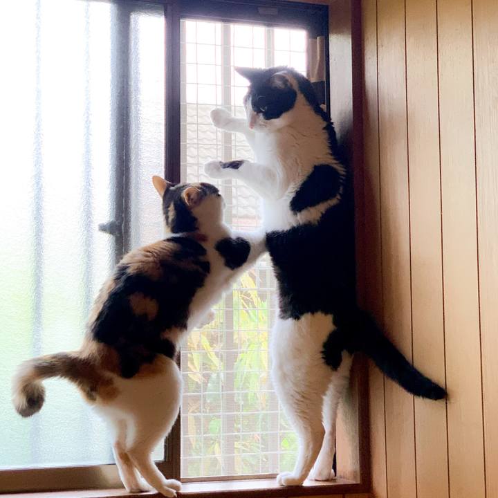 C9dc559e 30c7 464a b3cd 4b4938dc55d2 1592446326616