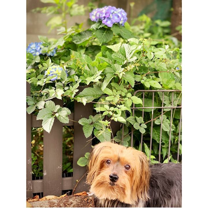 C9dc647a 827a 4f7b a0d9 54c11e54c560 1559530300517