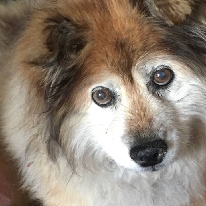 C9dcd942 1c67 4704 84e9 ff91f0a2d953 1607299020916