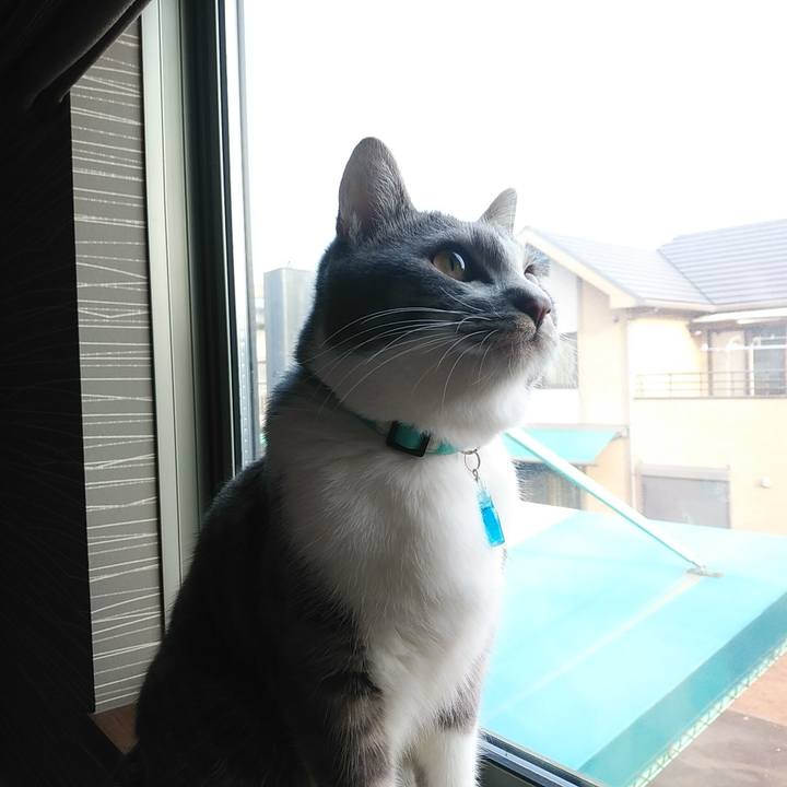 C9dcf327 2264 4749 91c0 f04af86da147 1582153500622