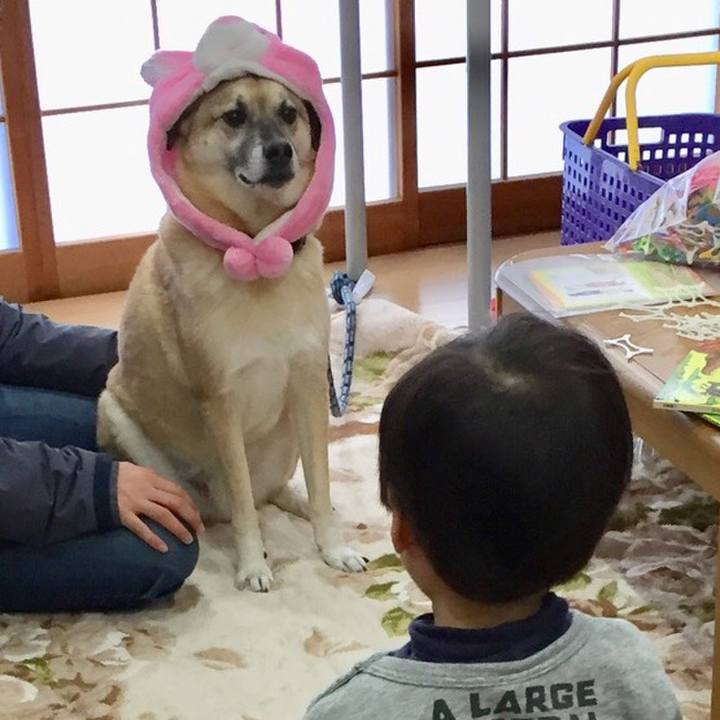 C9dd7ff4 2957 4cdb ae47 fe979edea836 1514444298361