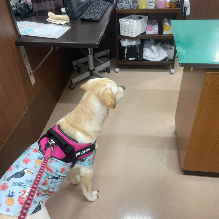 C9dd83e3 00a0 4b99 99aa 390d9f13a8e7 1623893634312