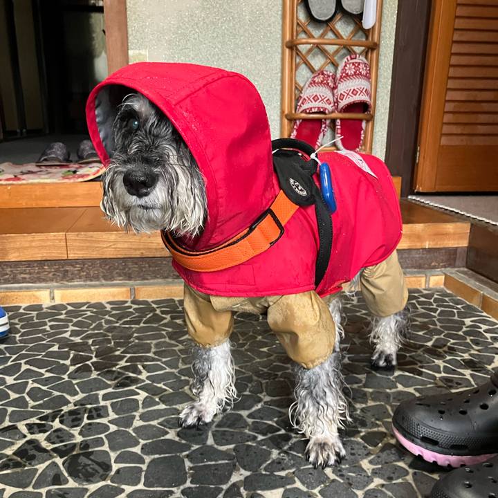 C9dd9418 c9d0 43de ad49 15c0ccf2cbc2 1726985489276