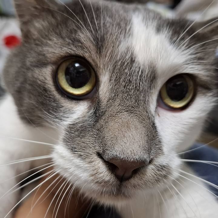 C9dd9e19 576f 4f34 ad71 e8a53dce9448 1749889427164