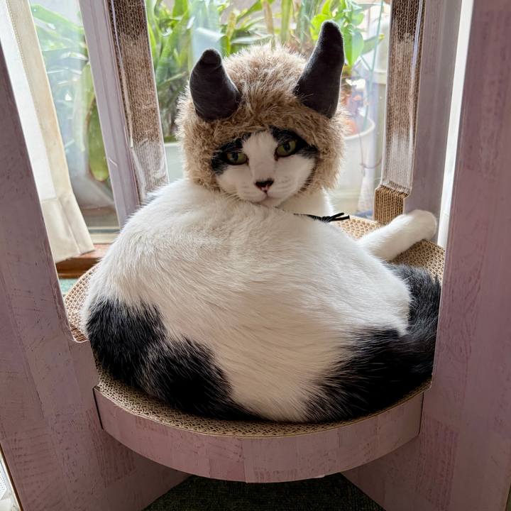 C9ddaaa2 7008 4b53 9bc6 82d865f113bc 1762087049026