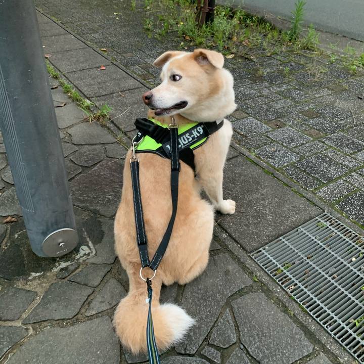 C9ddb2d0 942a 45f3 9b72 cd1cd80c07f9 1594474237726