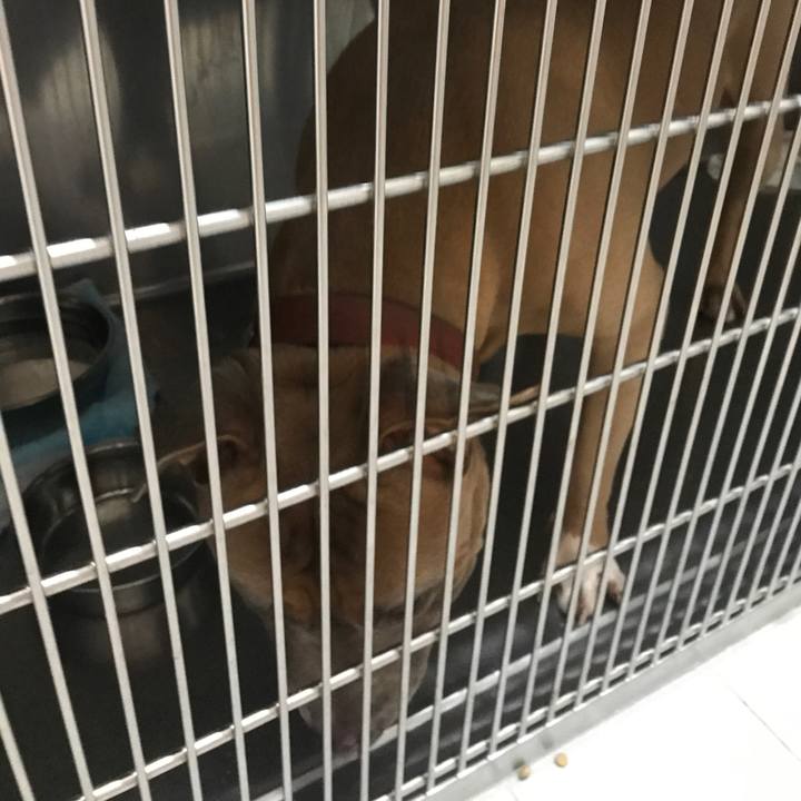 C9ddd836 86f4 465a a569 7a170f730f28 1510019041184