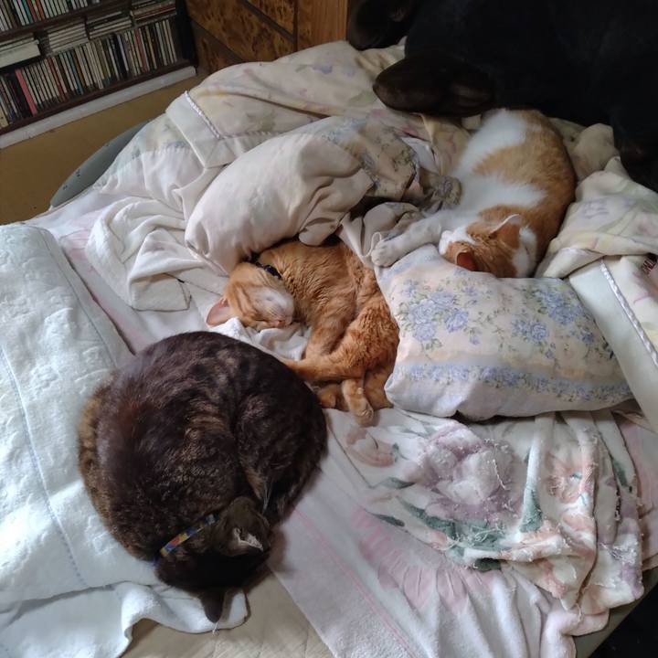 C9ddf1ae 2cea 44ff 8b1e 546f15599a32 1748216992625