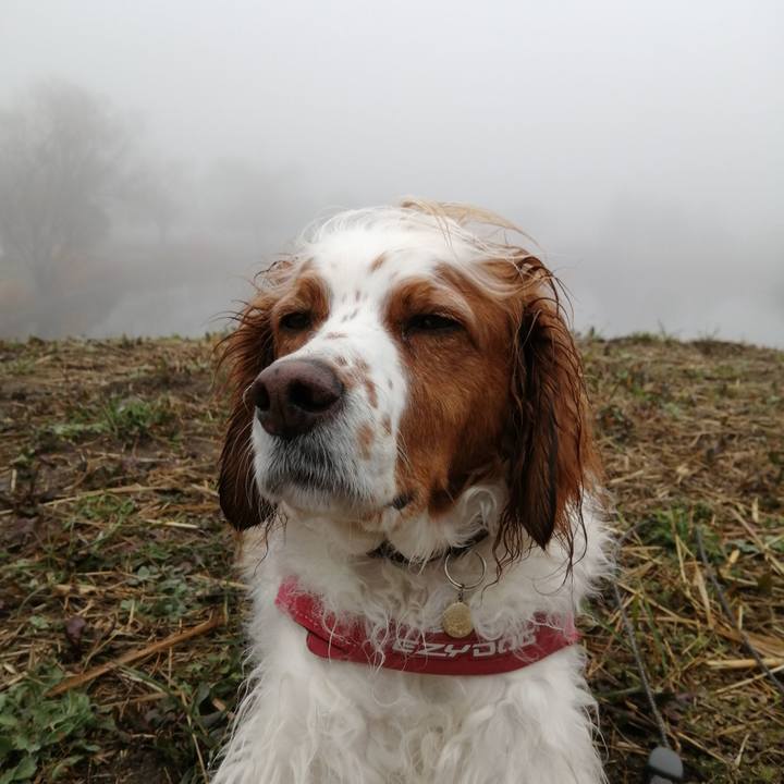 C9de04c9 8e86 48fb b323 065121cf1ef1 1581730477639