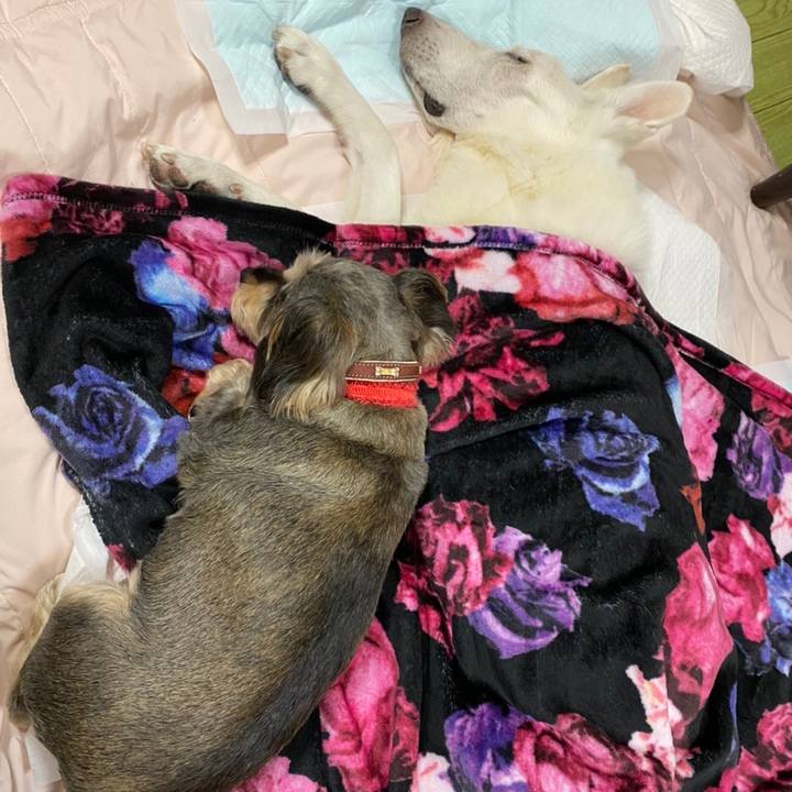 C9de25c7 25fe 41f1 bf3e 46b44428c4e3 1605453174395