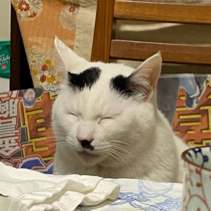 C9de291b e98b 4233 b597 d008639bd7eb 1642259103008