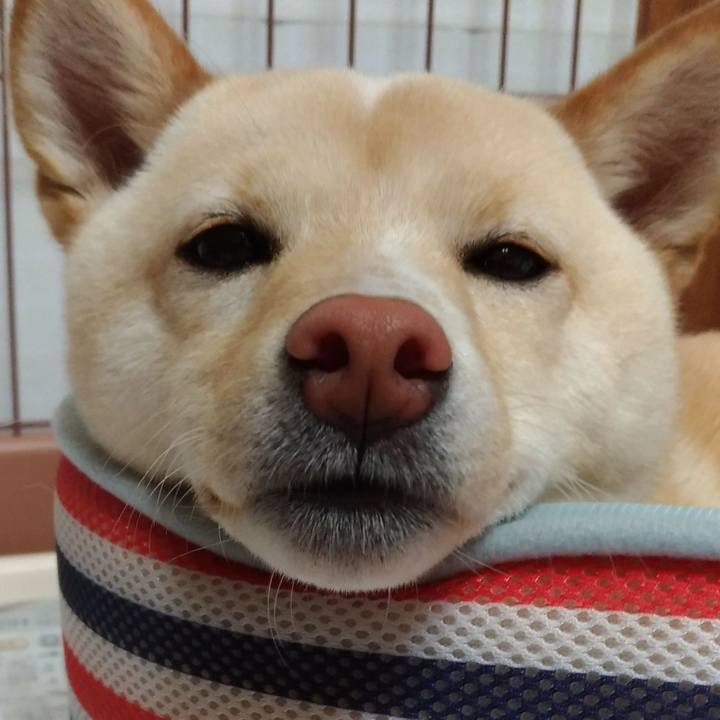 C9deb670 3f04 49ae 863a 610b66a07764 1523442522162