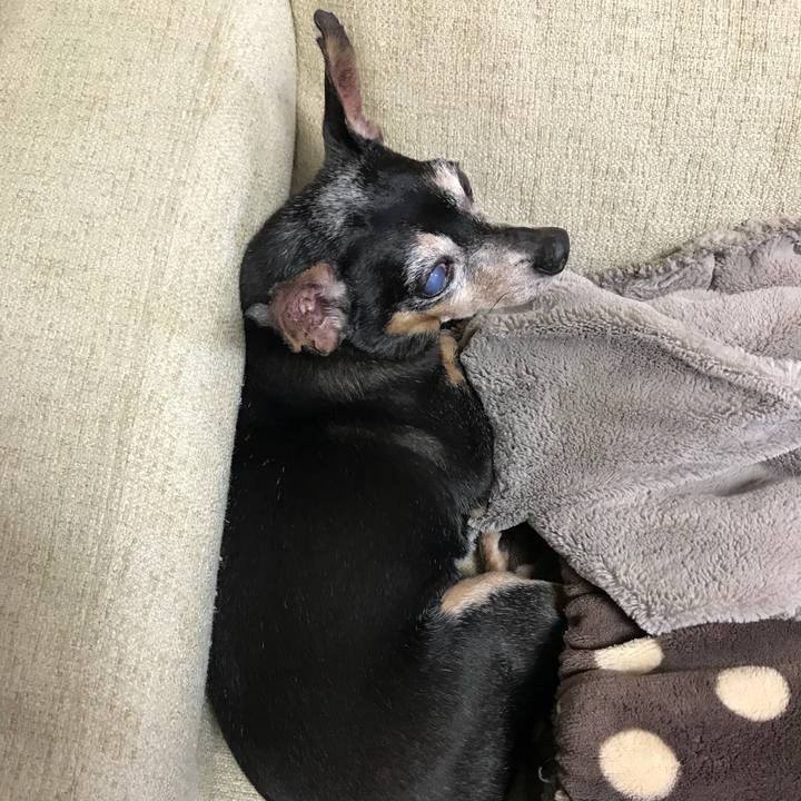 C9dec815 9f43 4b54 bd31 16daa50992c8 1565007981821