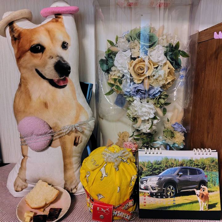 C9dedd7d d4b5 4959 88c5 6403617ca93f 1768170524110