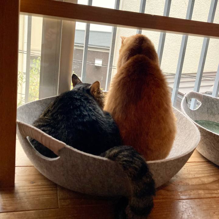 C9def6c0 4d2d 400d 8517 f6f90b628c69 1668381087470