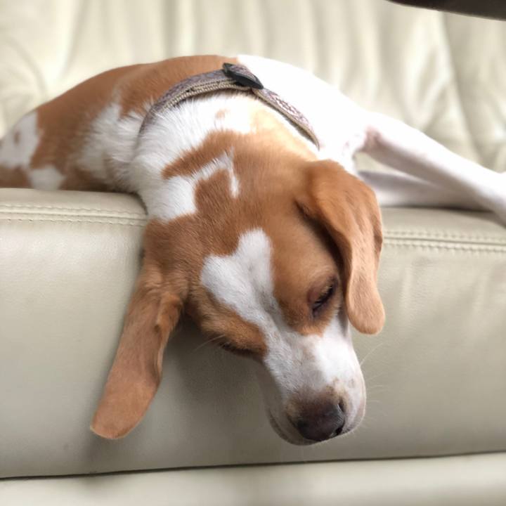 C9df132a be1e 4c9f 99d7 b7a6714dedaa 1599292907266