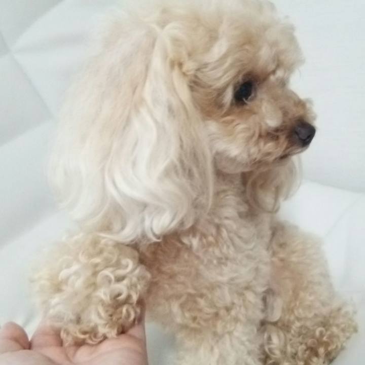 C9df2646 fe9c 4719 b228 b19c70679637 1531566424864